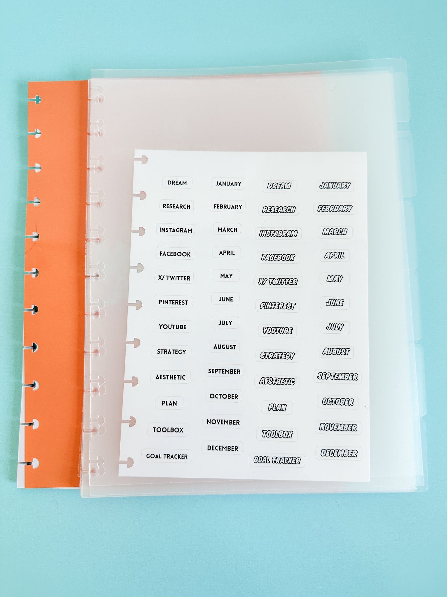 Insert: Year at a Glance